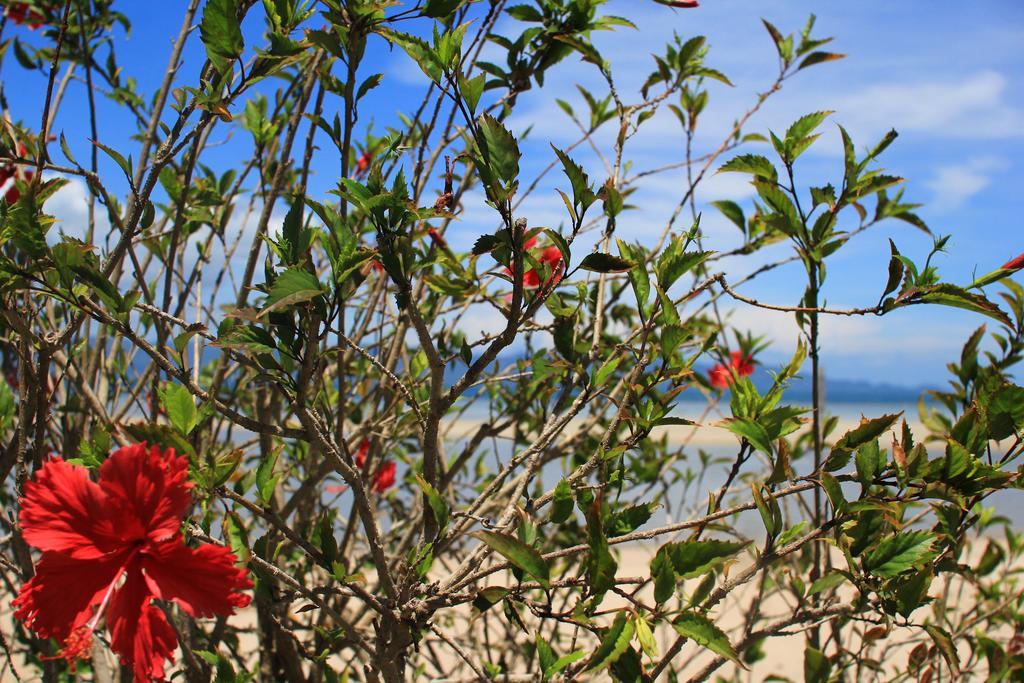 Morning Star Resort Baan Tai Eksteriør bilde